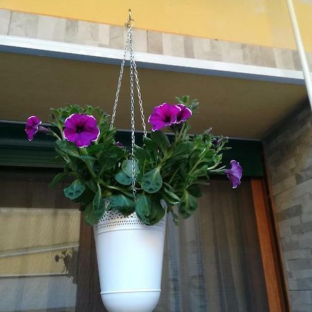 Apartamento I Nuraghi II Cagliari Exterior foto